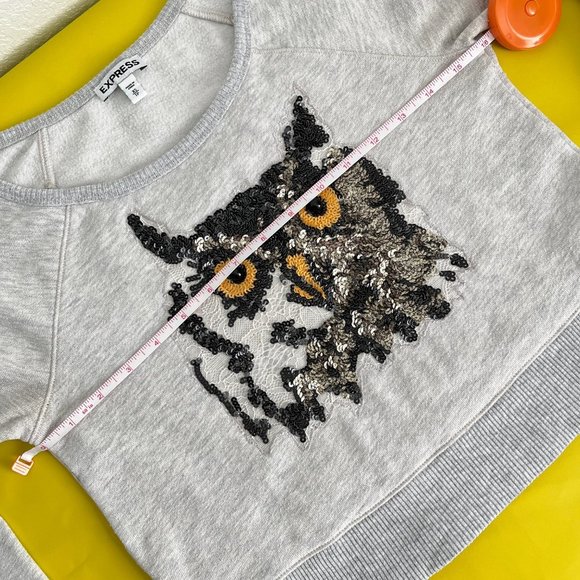 Express Cropped Sweater with Sequin and Lace Owl, Heather Gray/Cream, Size XS - Picture 9 of 14